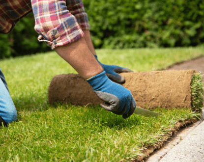 SOD INSTALLATION