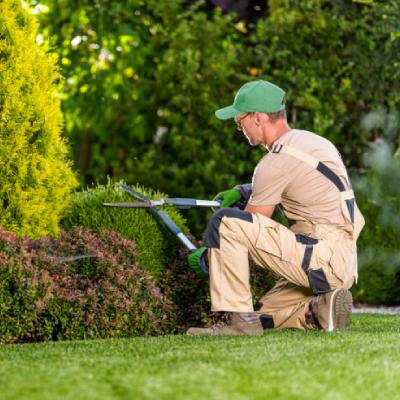 PROPERTY MAINTENANCE