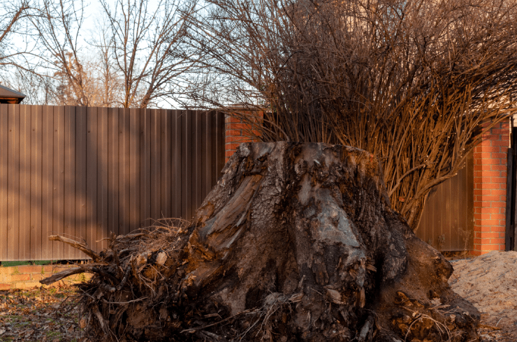 G-Unit Cleanup Service