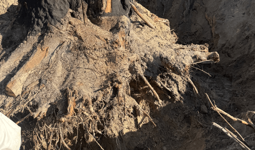 G-Unit Cleanup Service