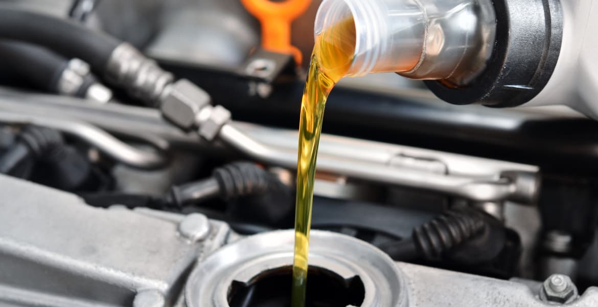 Black Mamba Services 