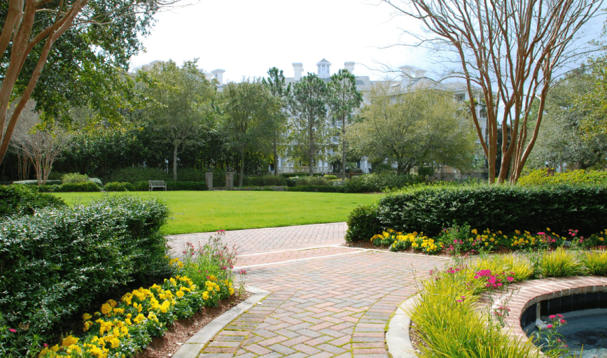 COMMERCIAL LAWN CARE SERVICES