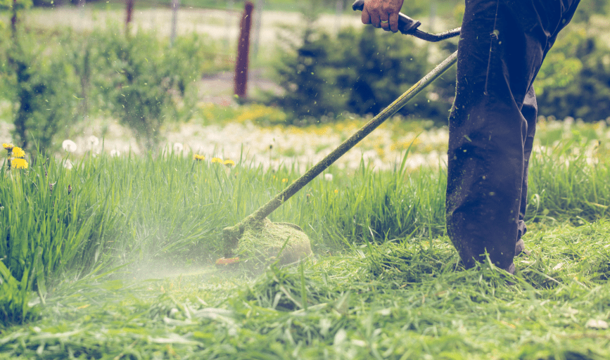 Parker’s Lawn Care