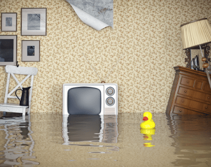 WATER DAMAGE RESTORATION