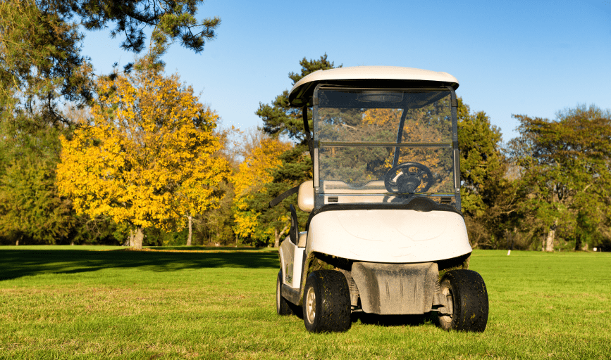 GOLF CART RENTAL