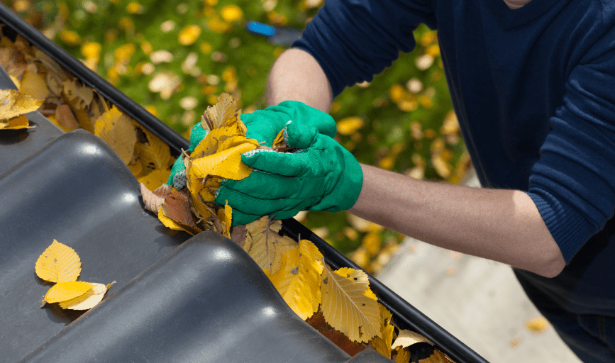 GUTTER CLEANING