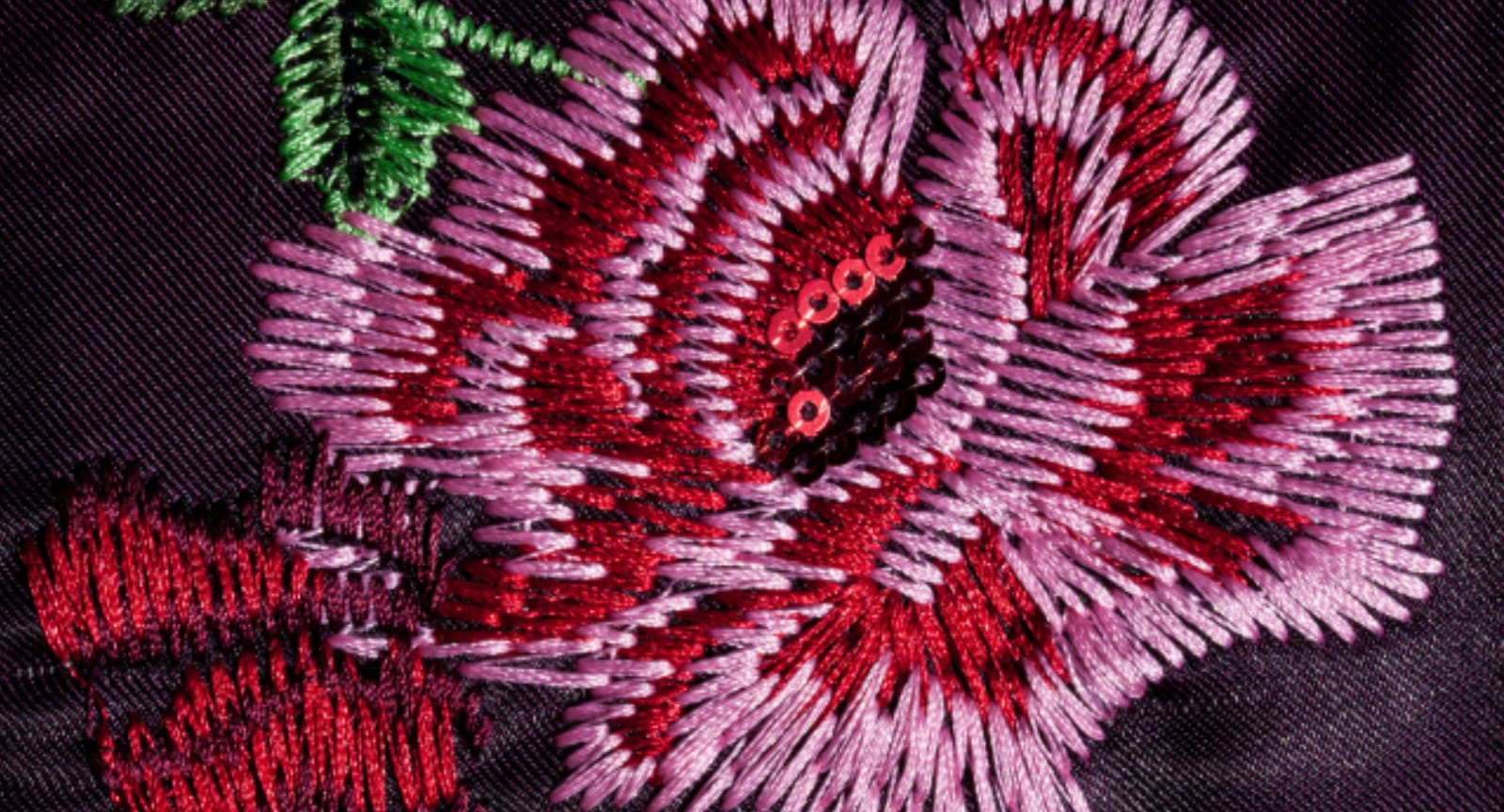 Primary Banner