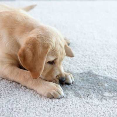 DEEP CLEANING SERVICE