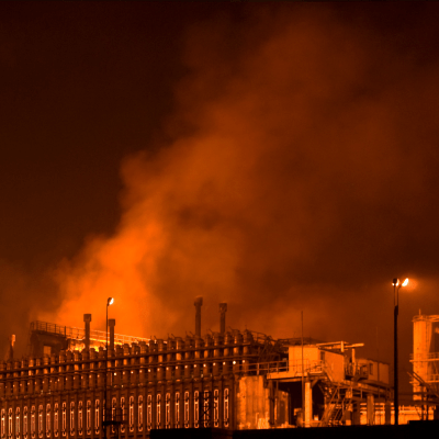 ENVIRONMENTAL TOXINS