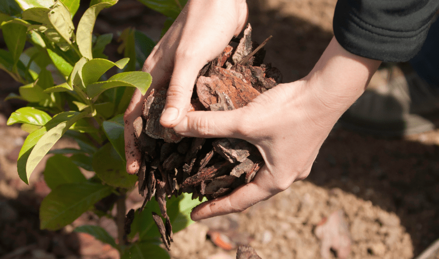 MULCHING