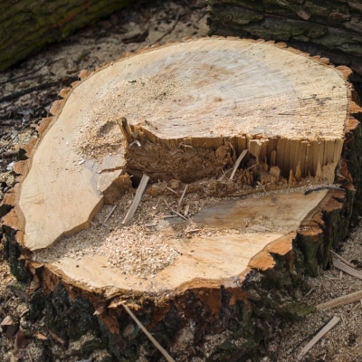 STUMP GRINDING SERVICES