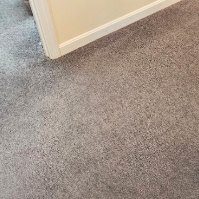 CARPET CLEANING