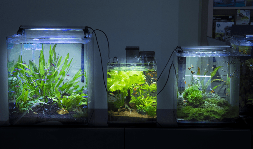 AQUARIUM INSTALLATION