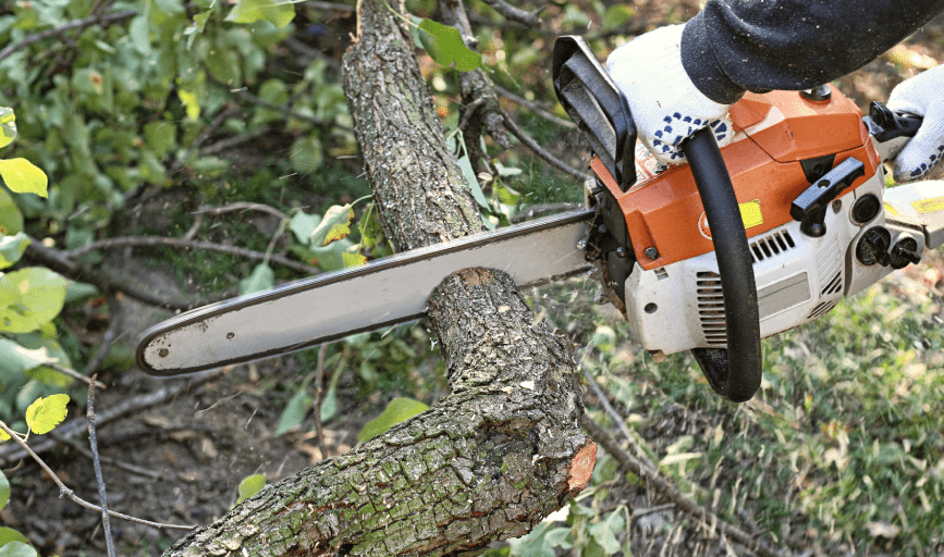 G-Unit Cleanup Service