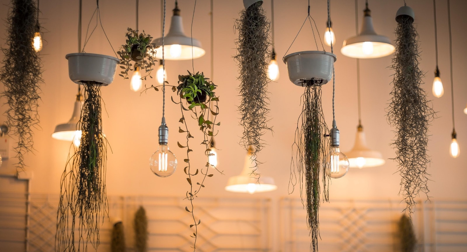 Light Fixture Installation