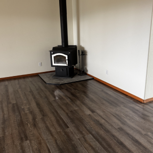 Move-in/Move-out Cleaning