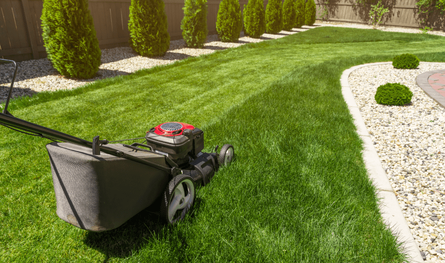 LAWN CARE