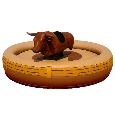 MECHANICAL BULL RENTALS
