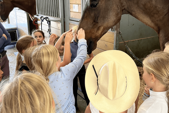 Trabuco Creek Equestrian