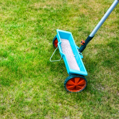 LAWN FERTILIZATION