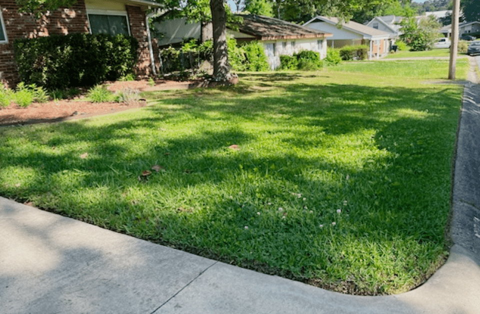 Moreira's Landscaping