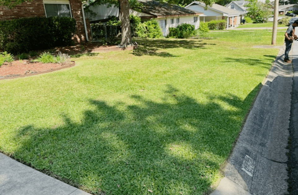 Moreira's Landscaping