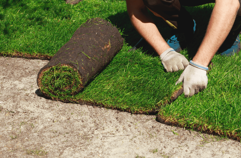 SOD INSTALLATION