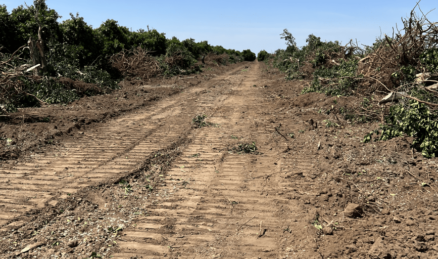 AGRICULTURAL LAND CLEARING