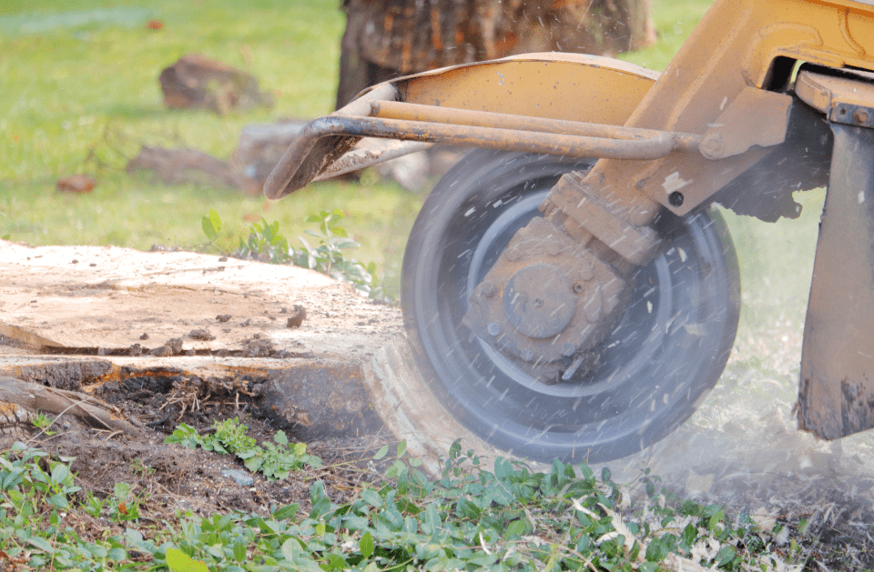STUMP GRINDING