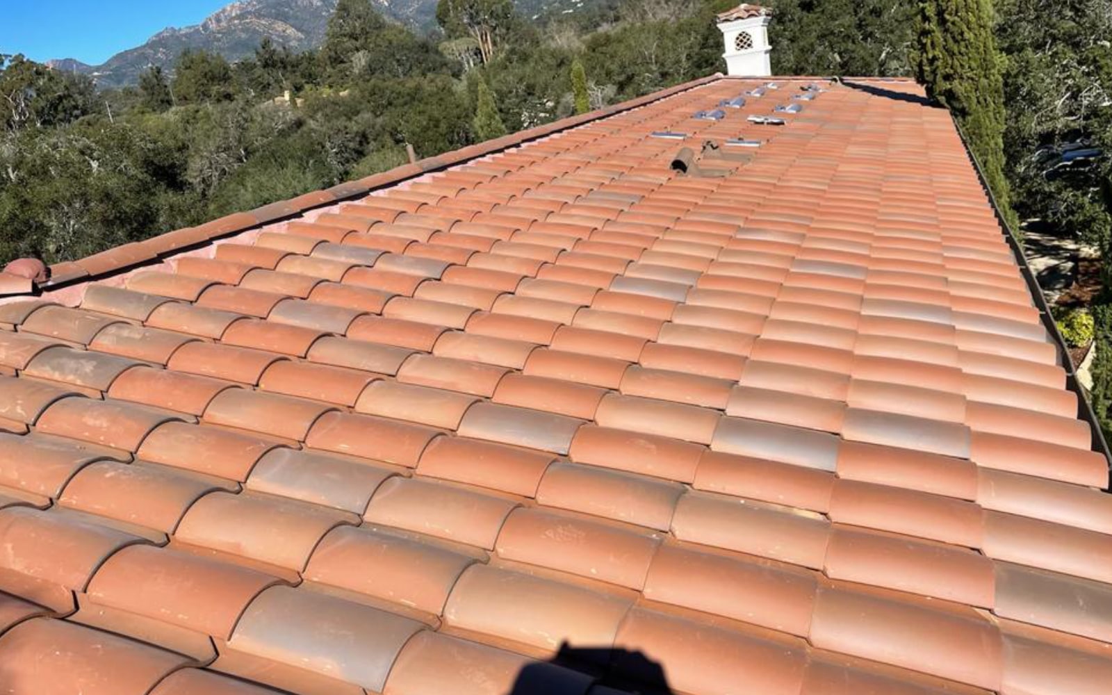 Roof Replacement