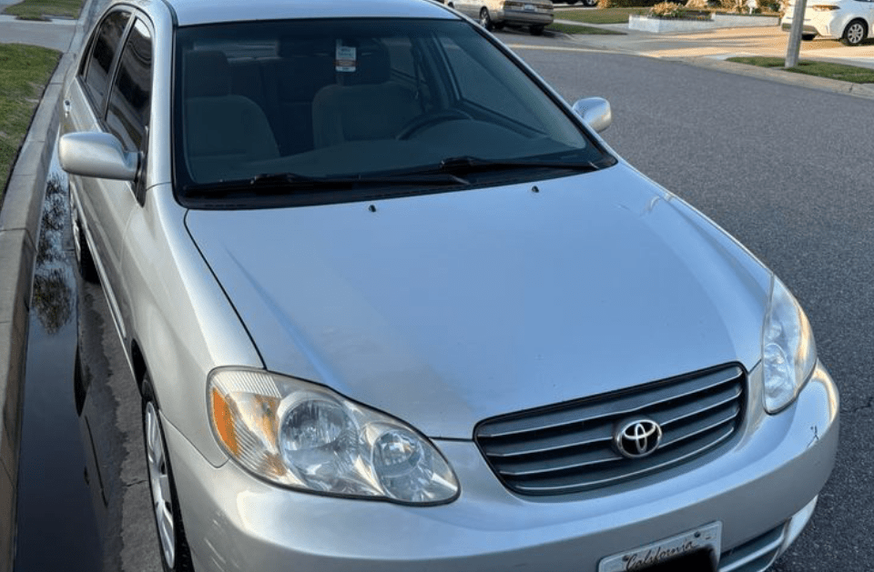 EXTERIOR CAR DETAILING