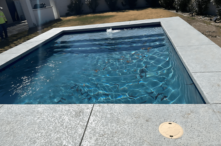 Pool Consultant