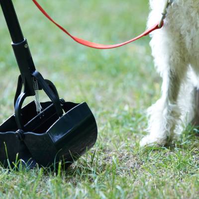 POOPER SCOOPER SERVICES