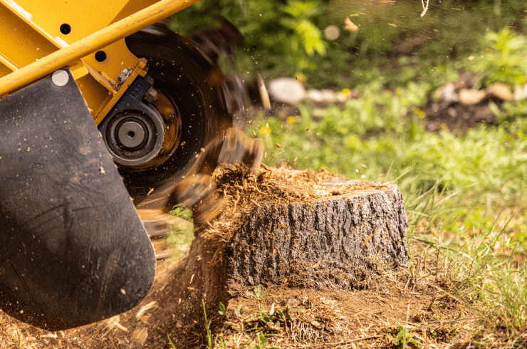 All About Tree Service 