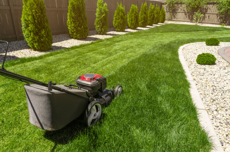 R Landscaping Services