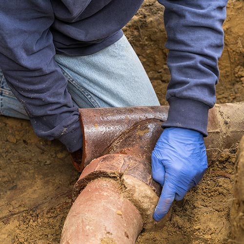 Sewer Backup