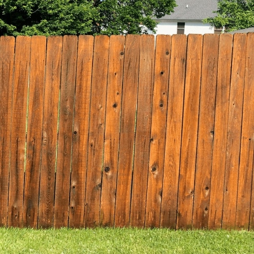 Fence Cleaning