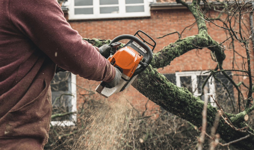 TREE SERVICE