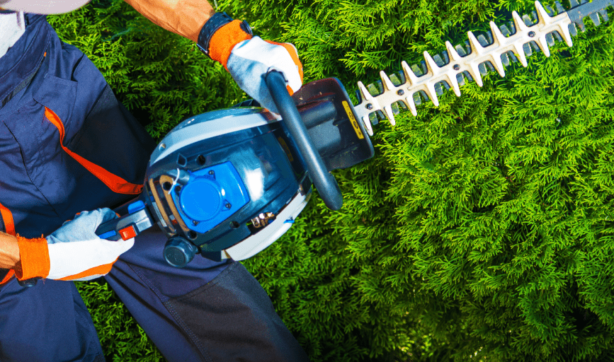 Alamo Outdoor Services