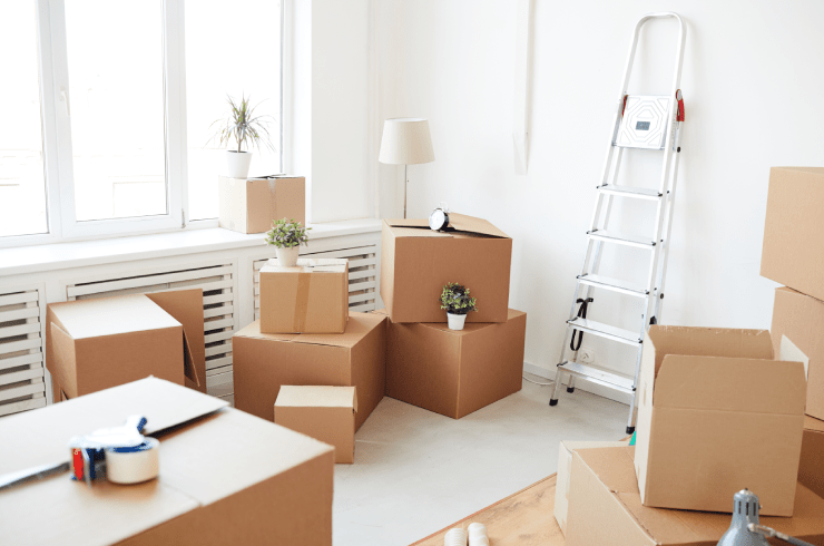 Cleaning Expressions 