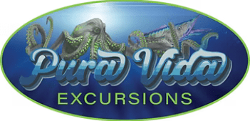 Pura Vida Excursions