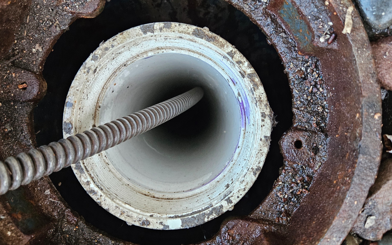 Sewer Backup Services