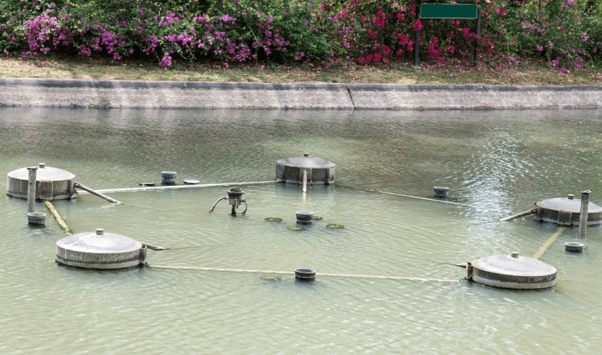 SEASONAL & ROUTINE SERVICE PLANS