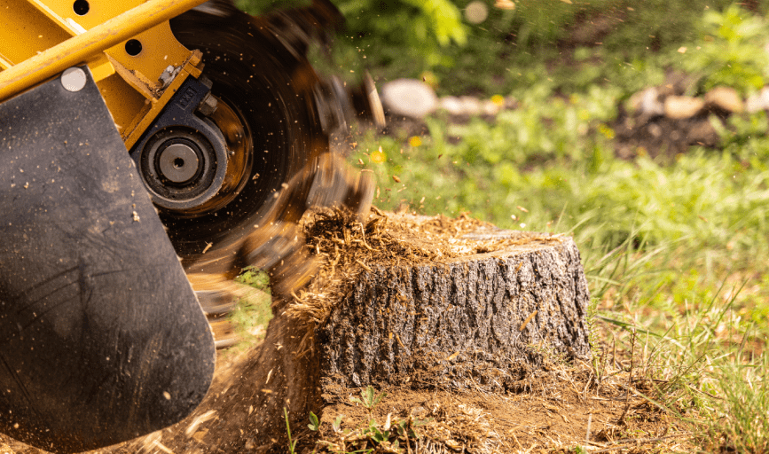 Ropers Land Services