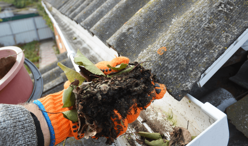 GUTTER CLEANING