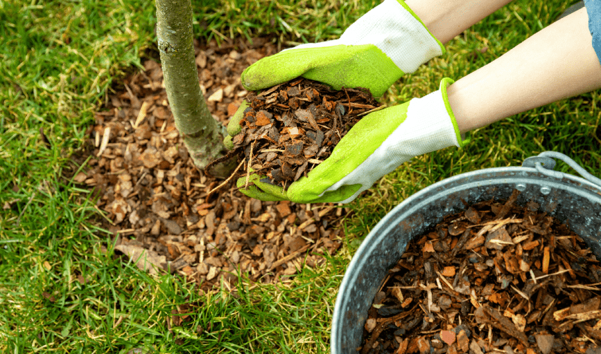 MULCHING SERVICE