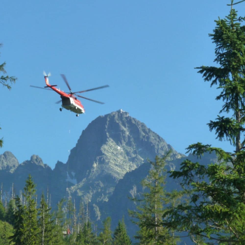 COMMERCIAL PILOT LICENSE