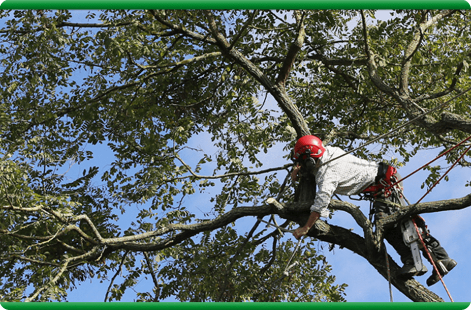 Complete Tree Service