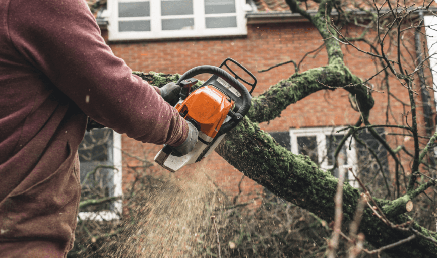 TREE SERVICES