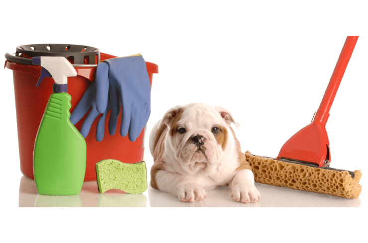 Bulldog Cleaning Services